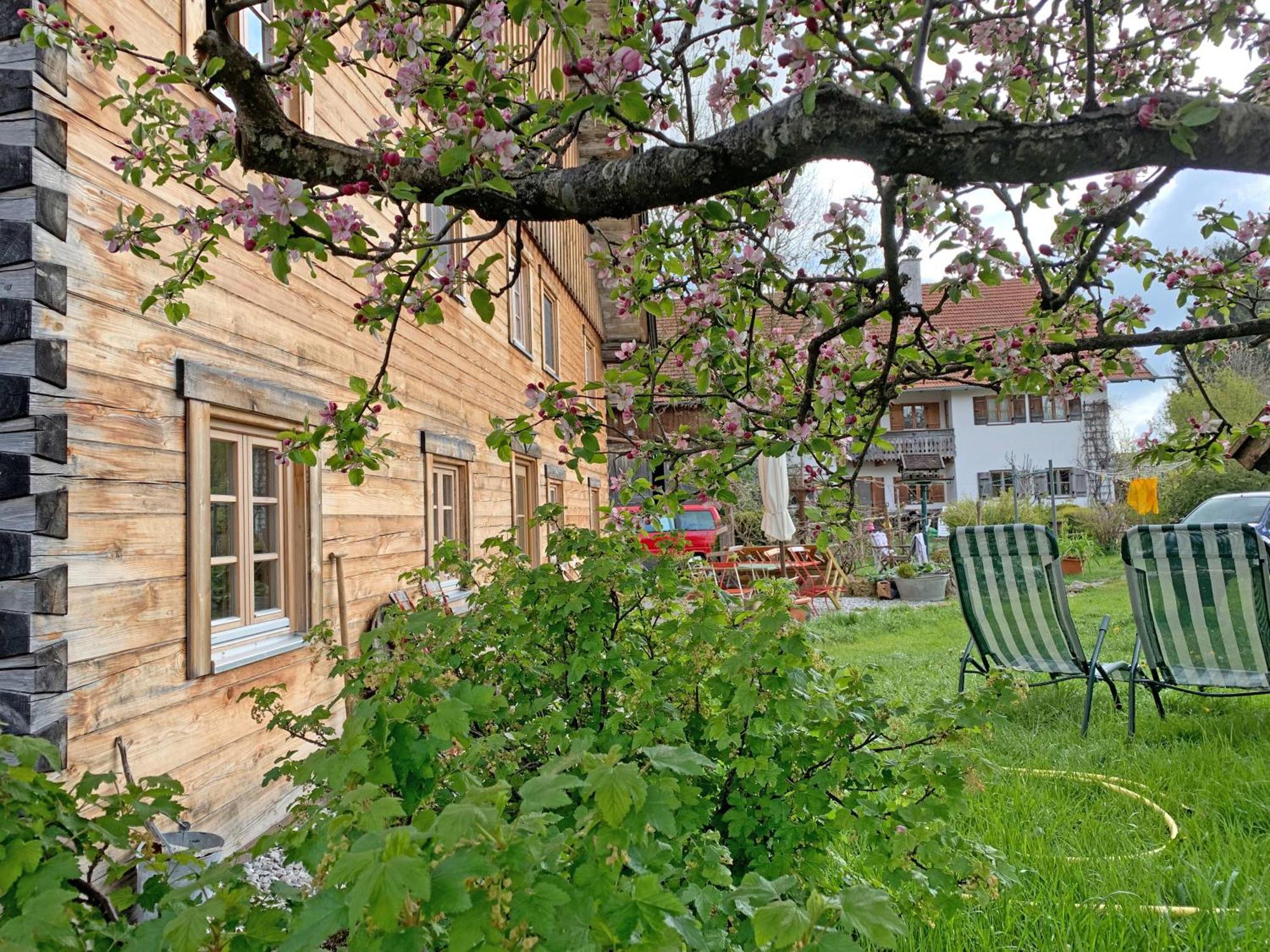 Apartmán Biohof Neihausmo Böbing Exteriér fotografie